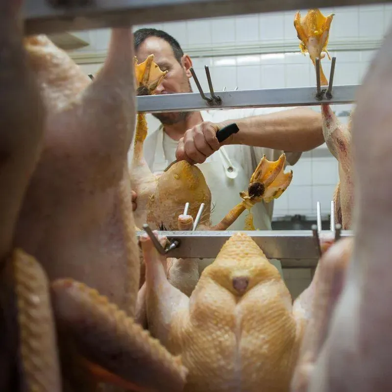 Canard gras près de Foix