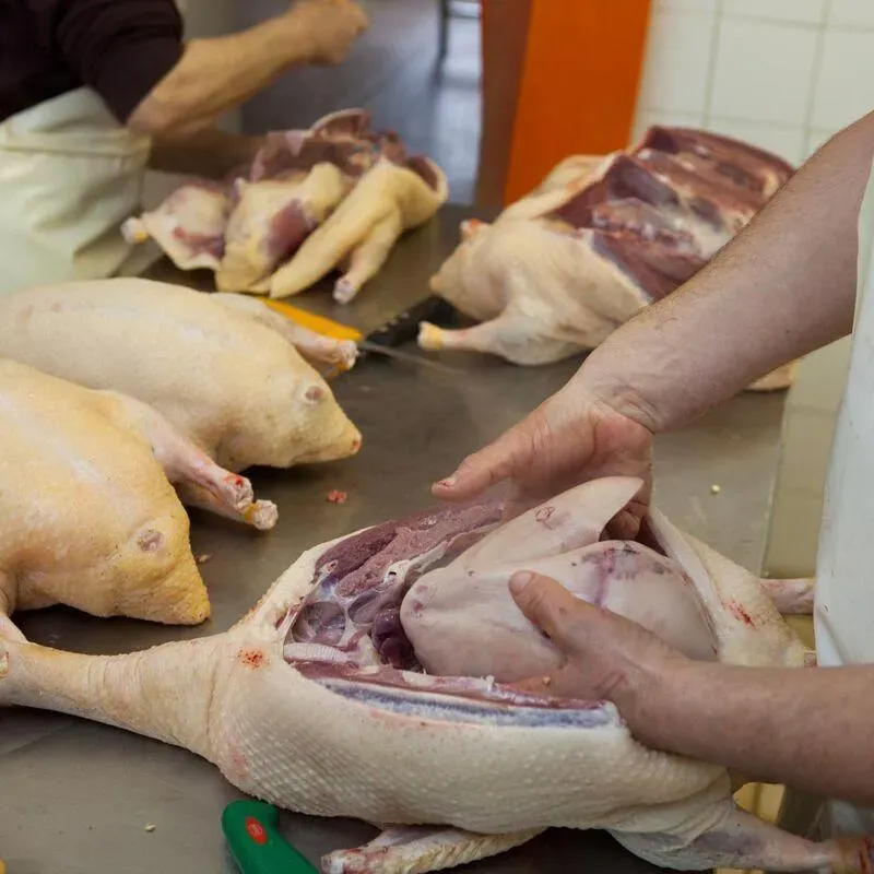 Producteur foie gras près de Foix